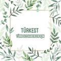 Logotipo do canal de telegrama turkest4 - اخبار المسلسلات التركية