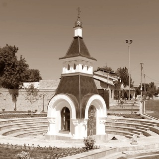 Логотип телеграм канала @turkestan_chronicles — Туркестанские хроники