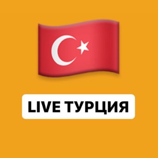 Logo saluran telegram turkey_cat — LIVE Турция