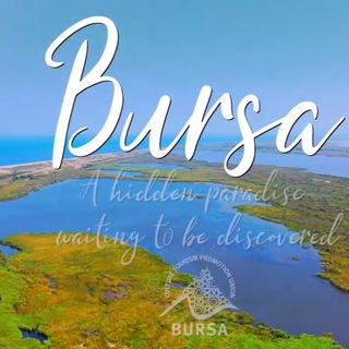 Логотип телеграм канала @turkeybursa — Бурса Турция Недвижимость