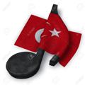 Logo saluran telegram turkeymusic20 — آهنگ ترکی جدید