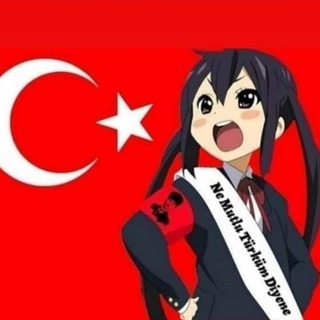 Логотип телеграм канала @turkishsteam — Oktavius поможет с Турецким PSN, Steam и не только