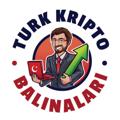 Logo of telegram channel turkkriptobalinalari — Türk Kripto Balinaları🇹🇷