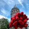 لوگوی کانال تلگرام turkqoute — اقتِباسات تركيّة مُترجمة🇹🇷