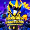 Логотип телеграм канала @turniribrawlstars42 — Турниры Бравл Старс