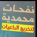 Logo saluran telegram turnlef — نفحات محمدية تخريج الداعيات الاستاذة هناء وطفة