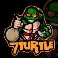 Logo saluran telegram turtle7brazil — 7Turtle - Brazil