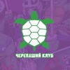 Логотип телеграм канала @turtlesclub_tmnt — Turtles Club