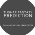 Logo saluran telegram tushar_fantasy_prediction — TUSHAR FANTASY PREDICTION
