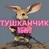 Логотип телеграм -каналу tushkan4iknews — Тушканчик News