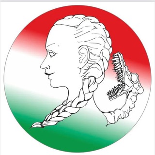 Logo del canale telegramma tutela_costituzionale - Tutela Costituzionale