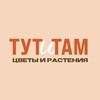 Логотип телеграм канала @tutitam_plant — ТУТuТАМ