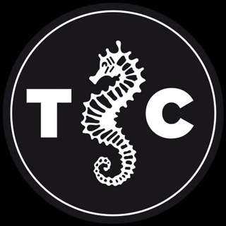 Logo del canale telegramma tuttocesena - TUTTOCesena.it