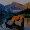 Логотип телеграм канала @tuvaorus — Тыва орус ырылар