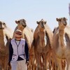 Telegram kanalining logotibi tuyabozori_camels — 𝗧𝗨𝗬𝗔 𝗕𝗢𝗭𝗢𝗥𝗜