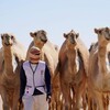 Telegram kanalining logotibi tuyabozori_camels_qurbonlik — 𝗧𝗨𝗬𝗔 𝗕𝗢𝗭𝗢𝗥𝗜