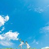 Telegram арнасының логотипі tuyndyym — tuyndym.