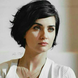 لوگوی کانال تلگرام tv_wo6 — مْيـ❉ـمْ‌‌‏❥