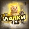Логотип телеграм канала @tv_lapki — Лапки TV🐾