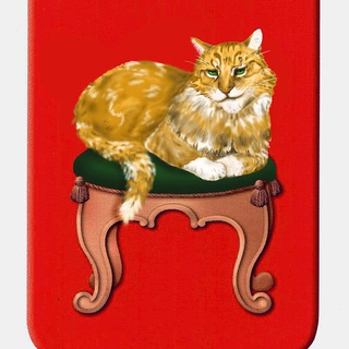 Логотип телеграм канала @tverdream — Все котята Твери