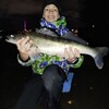 Логотип телеграм канала @tverskoiribak — Тверской рыбачок🎣🐠🐟🎣