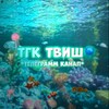 Логотип телеграм канала @tvishateamtoplol — твиши на связи💞