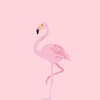 Telegram channel ᖴᒪᗩᗰIᑎGO🦩 logo