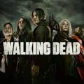 电报频道的标志 twd75 — مسلسل the walking dead