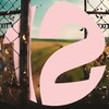 Logo of telegram channel twelveyo — twelve.yo