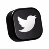 Telegram channel Tweety logo