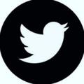 Logo saluran telegram twittersex_cnmb — 推特福利精选