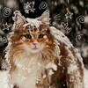 Логотип телеграм канала @twixie_therian_house — 🤍КВАДРОБИКА|ХАУС🎀