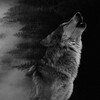 Logo of telegram channel twl_s — -ԵաɿʅɿԳɧԵ♠