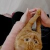 Логотип телеграм канала @twogeografsandlutik — Два географа и ПонгоЛютик