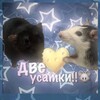Логотип телеграм канала @twoysatkii — Две усатки!!🧀🐭