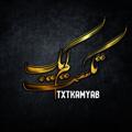 Logo saluran telegram txtkamyab — تکست کمیاب