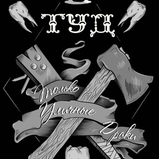 Логотип телеграм канала @tydoriginal45 — ТУД