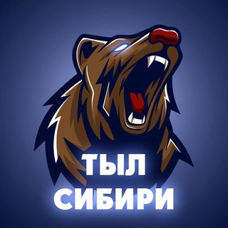 Логотип телеграм канала @tylsibiri — Тыл СИБИРИ