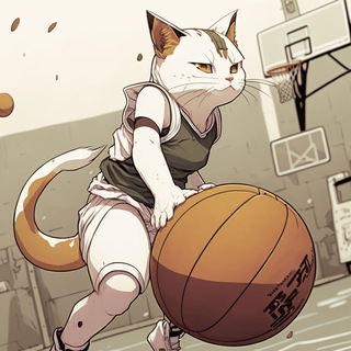 Логотип телеграм канала @typicalbasketball — Типичный баскетбол