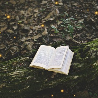 Логотип телеграм канала @typicalsurv_books — Типичный Выживальщик ™ - книги о выживании