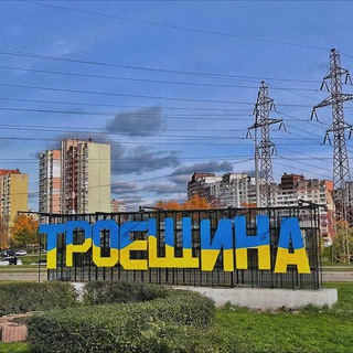 Логотип телеграм -каналу typicaltroeschina — Типичная Троещина | Война Украина 🇺🇦