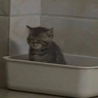 Логотип телеграм канала @typicaluntypical — типичный нетипичный блог