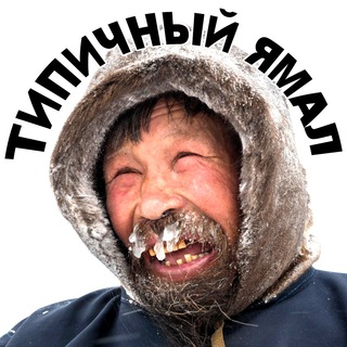 Логотип телеграм канала @typicyamal — Типичный Ямал