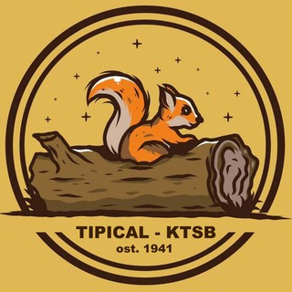Логотип телеграм -каналу typktsb — Т К (Типове Коцюбинське)