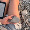 Логотип телеграм канала @tytpoly — здесь была поля