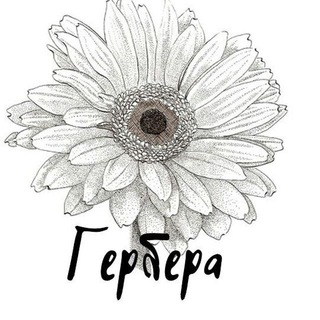 Логотип телеграм канала @tyumenfem — Тюменская феминистская инициатива "Гербера"