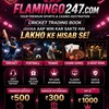 टेलीग्राम चैनल का लोगो tyyyuuvvg — Flamingo 247 official