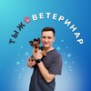 Логотип телеграм канала @tyzhveterinar — ТЫЖ 🐾 ВЕТЕРИНАР
