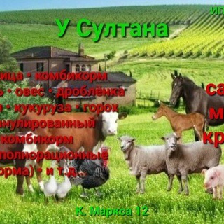 Логотип телеграм канала @u_sultana_korma — У Султана
