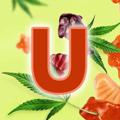 Logotipo do canal de telegrama uberryshop - Uberry’s Shop